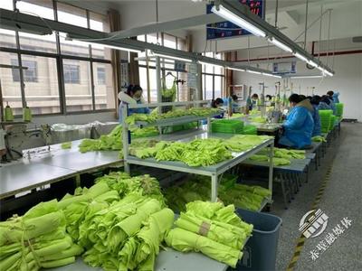 新春新氣象，赤壁服裝企業設計先行，全力沖刺“開門紅”